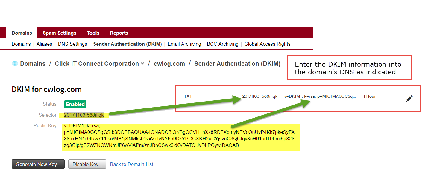 Что такое dkim запись в dns